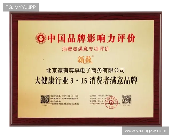 亚星仪科在行业中的品牌影响力与市场份额分析，助力企业品牌建设