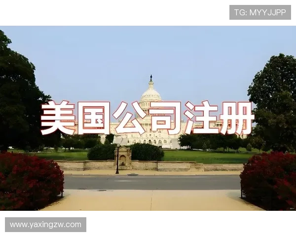 亚星登录入口官网账号安全保护措施及密码重置流程解析