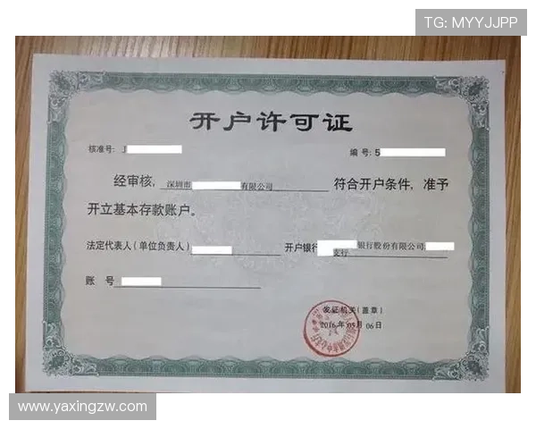 新手必看亚星现金开户详细流程及常见问题解答全方位指导