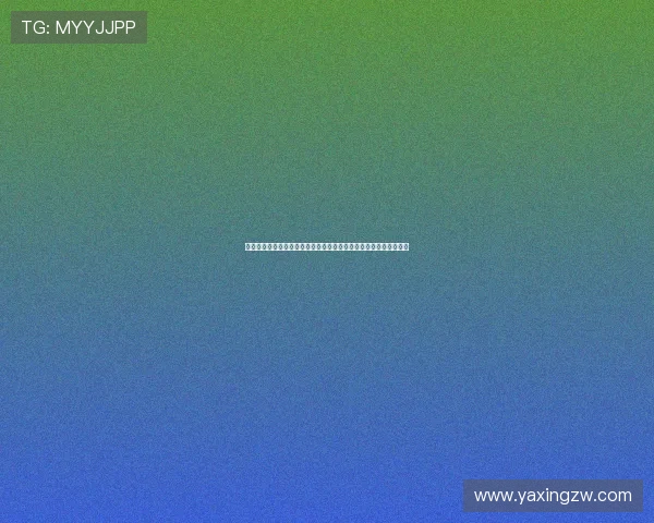 亚星正网最低价详细解析如何在保证品质的前提下享受最实惠的价格